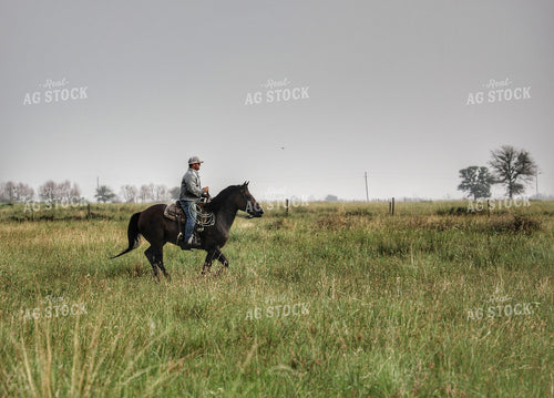Rancher on Horseback 210006