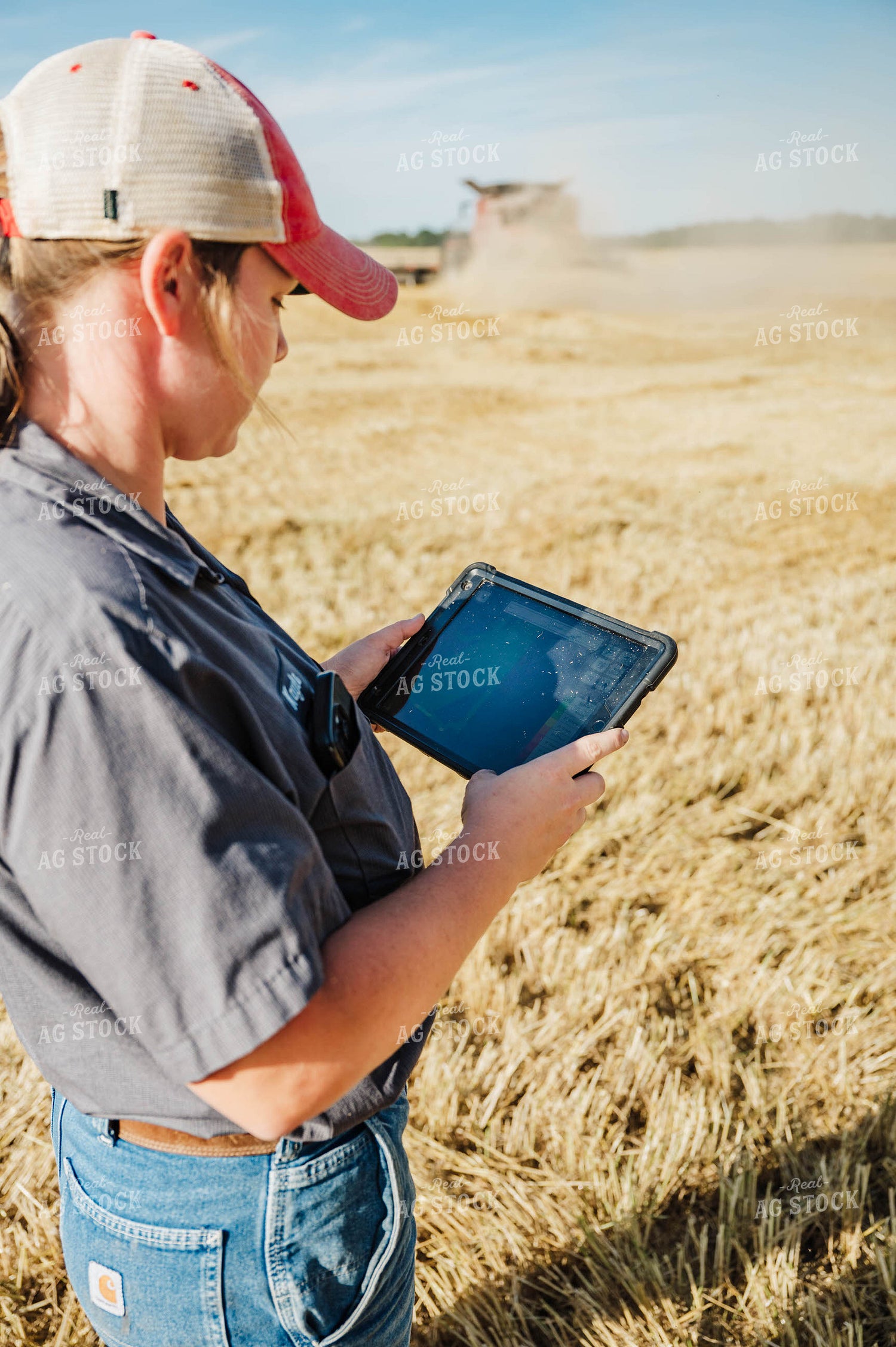 Female Farmer Using Tablet in Field 115226