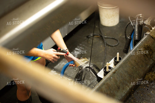 Cleaning Milk Parlor 161099