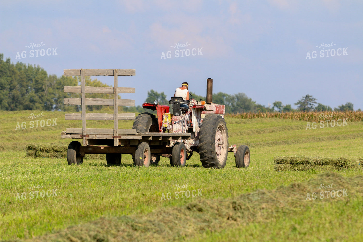 Harvesting Hay 160326