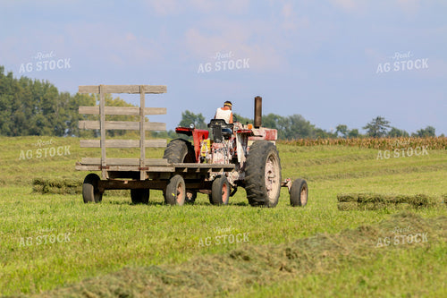 Harvesting Hay 160326