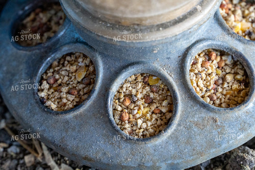 Poultry Feeder 65629