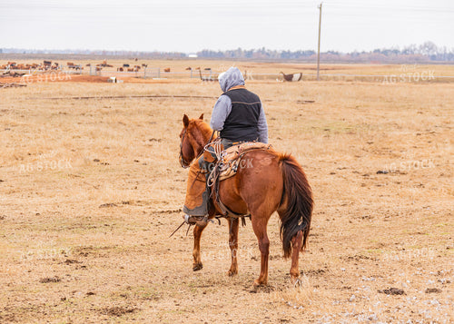 Rancher on Horseback 231053