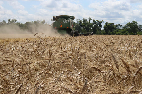 Combine Harvesting Wheat Field 227008