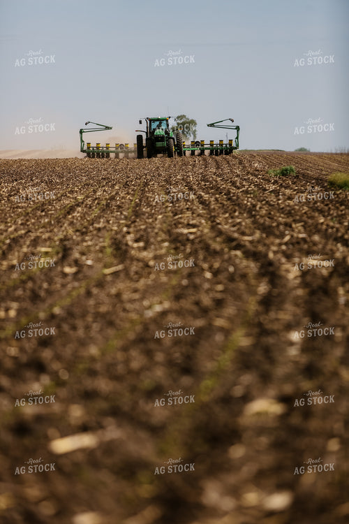 Planting 2891