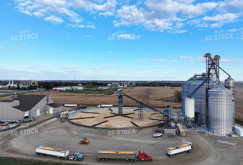 Grain Elevator 141484