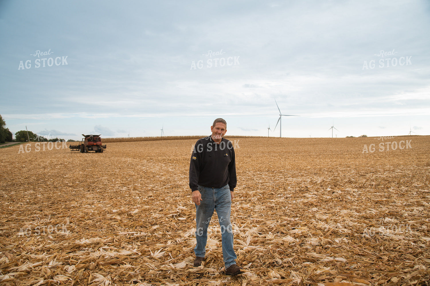 Farmer in Field at Corn Harvest 26021