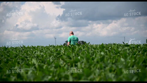 Farmer Scouting Growing Crops - 307
