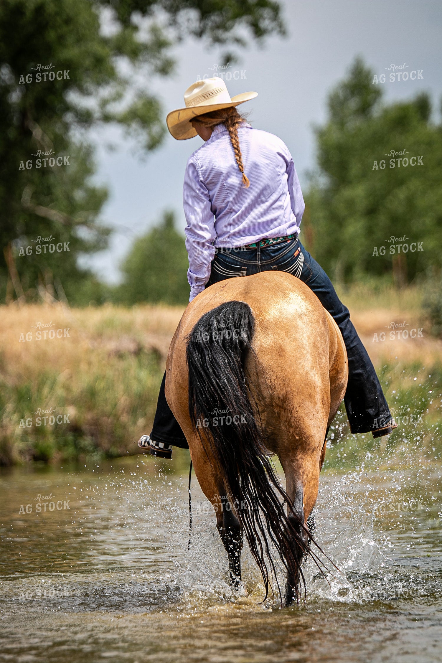Female Rancher with Horse 202018