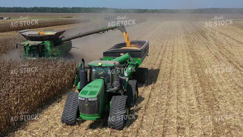 Corn Harvest 79514
