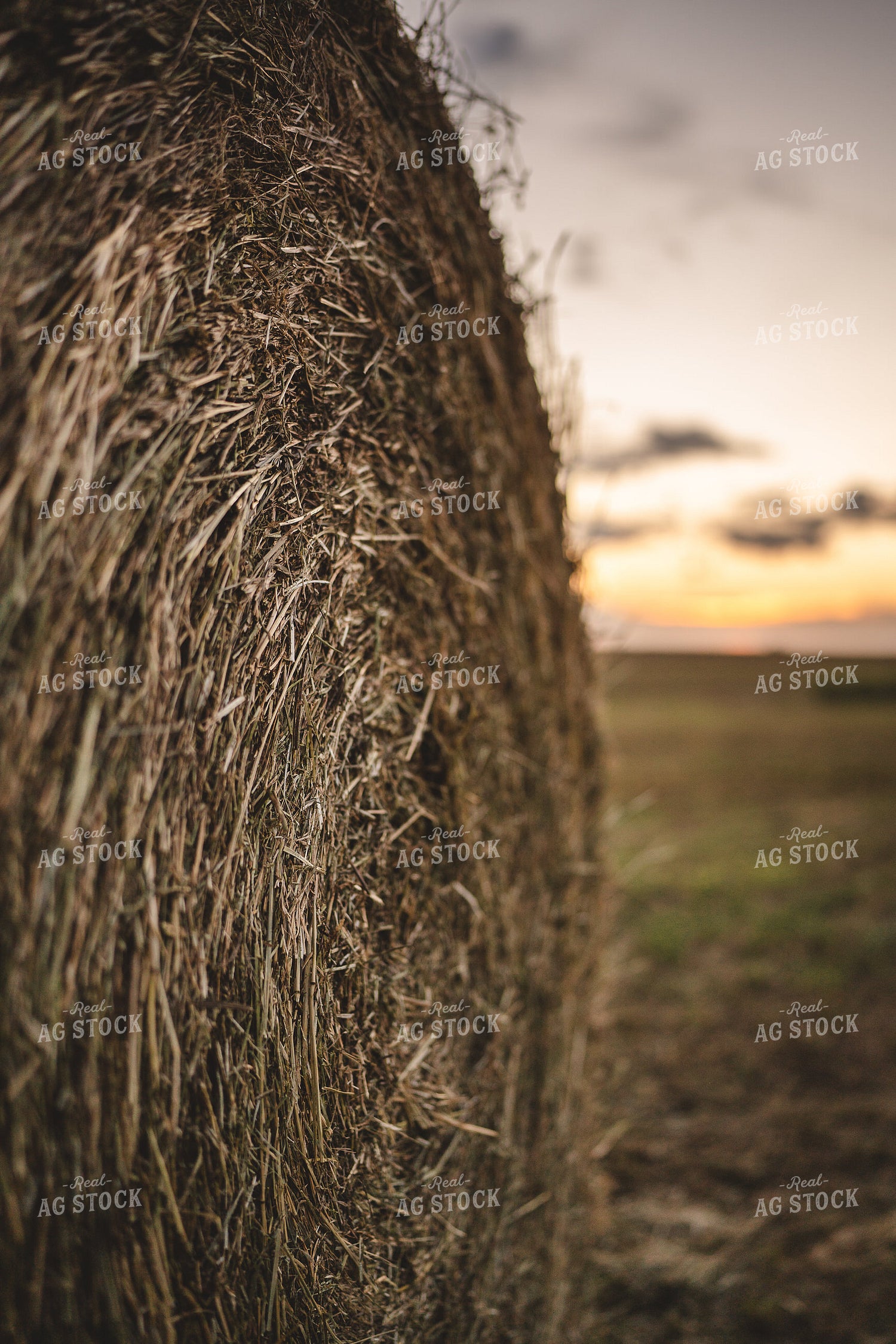 Hay Bale 196062