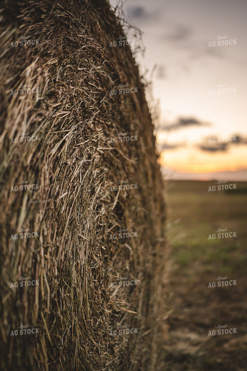 Hay Bale 196062