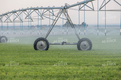 Irrigation System 97022
