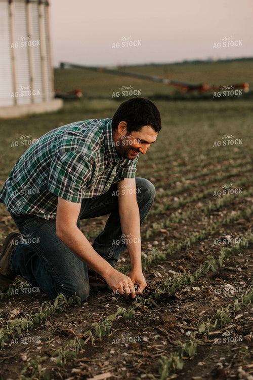 Farmer 2943