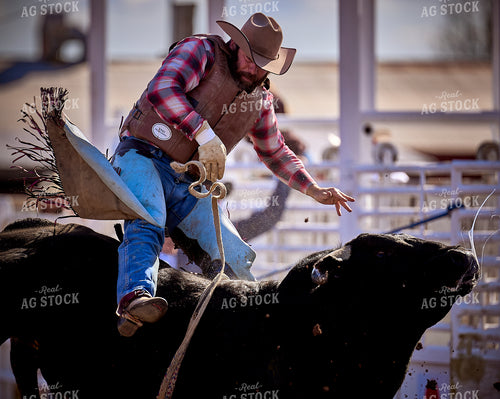 Rodeo 177028