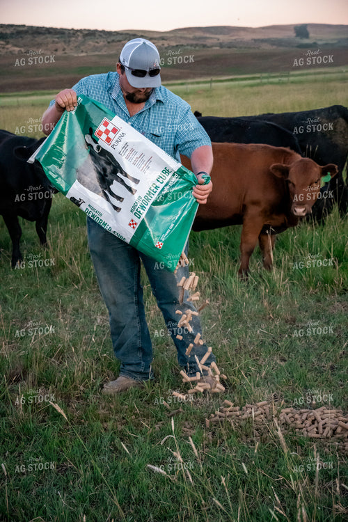 Farmer Feeding Pellets 65221