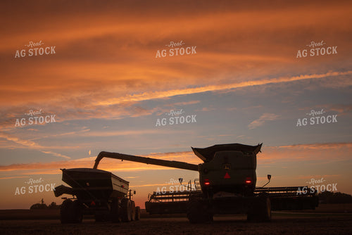 Combine Unloading onto Grain Cart at Sunset 76046