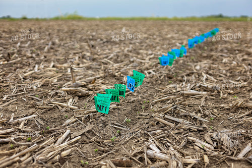 Emergence Flags 93288