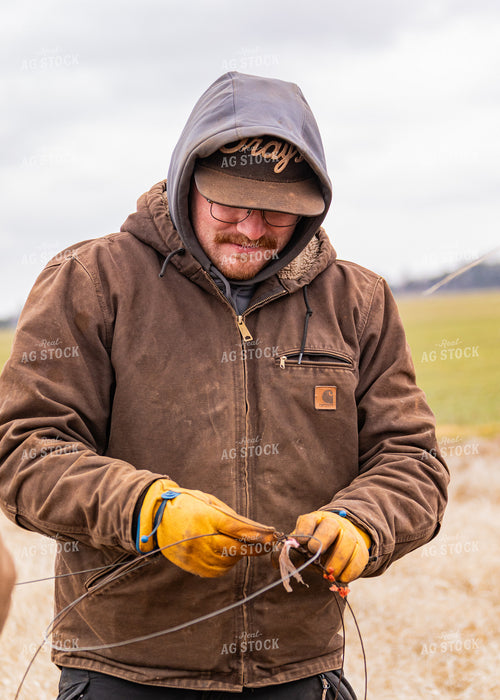 Rancher Fixing Fence 231067