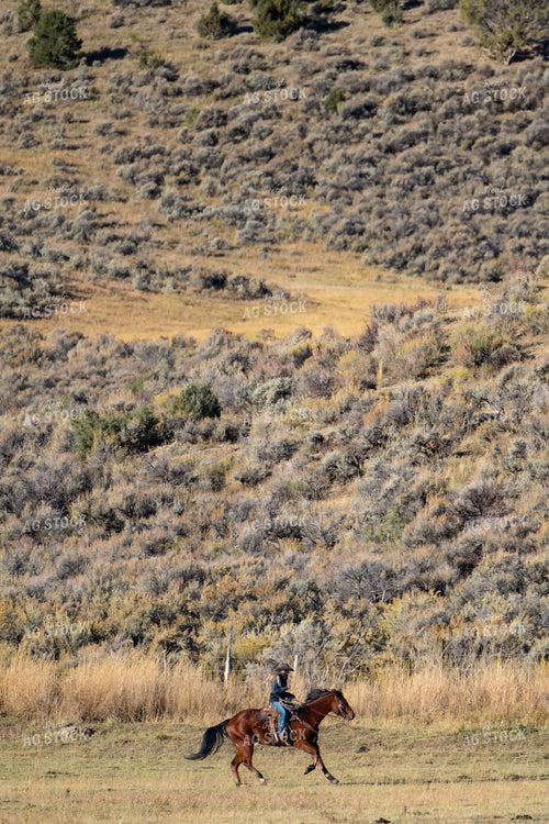 Female Rancher on Horseback 163013