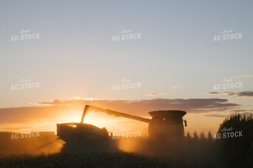 Nebraska Corn Harvest 70005