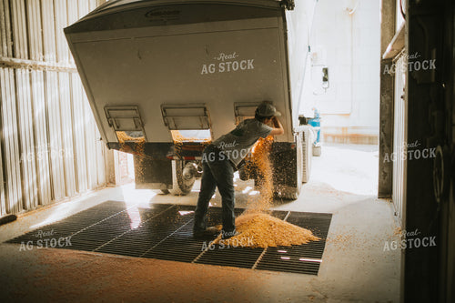 Truck Unloading Corn into Pit at Elevator 4717