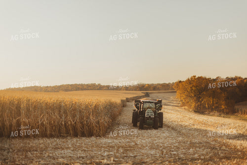 Corn Harvest 9494