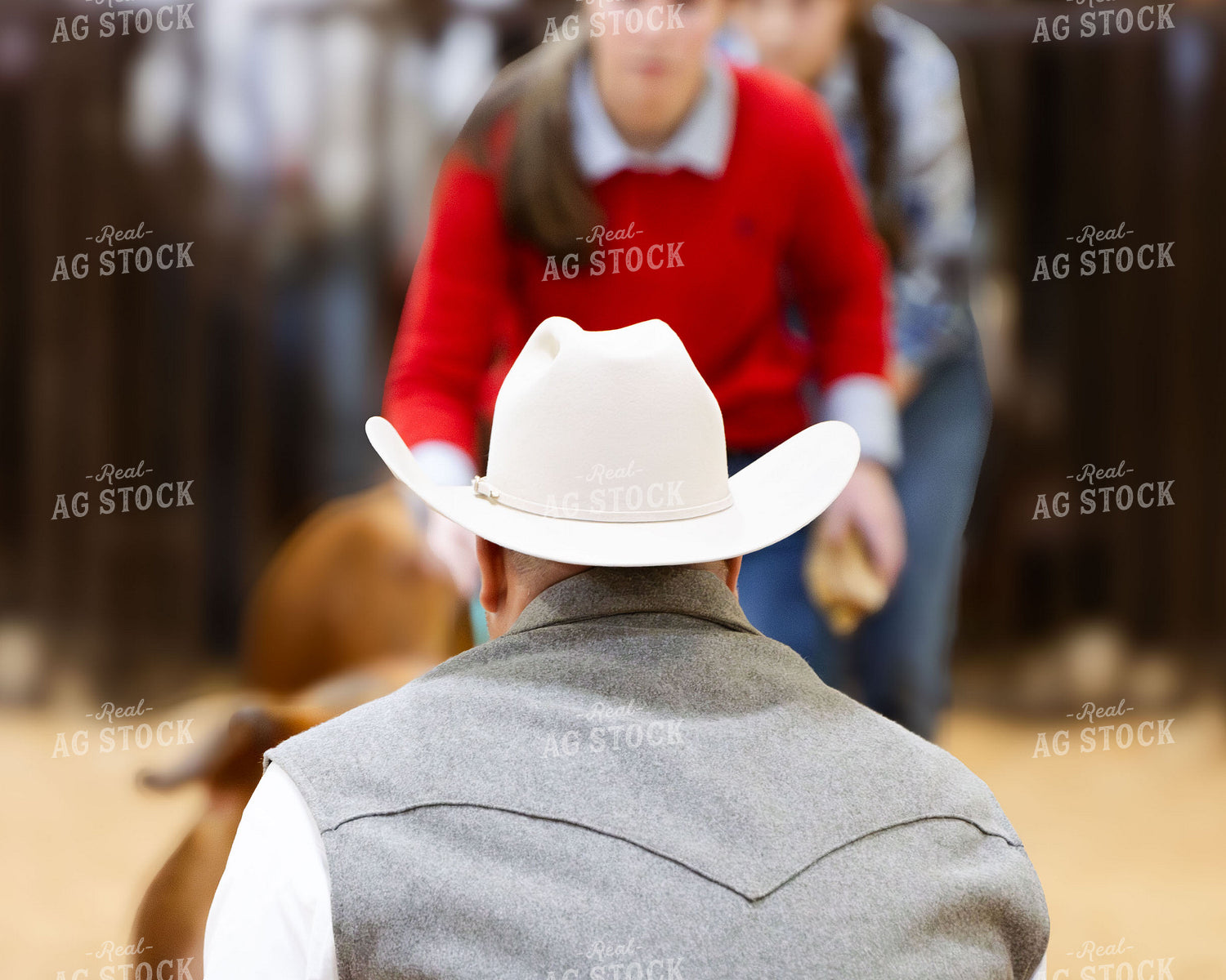 Judging a Livestock Show 288025