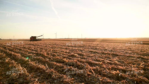 Combine Driving through Field at Sunset - 556