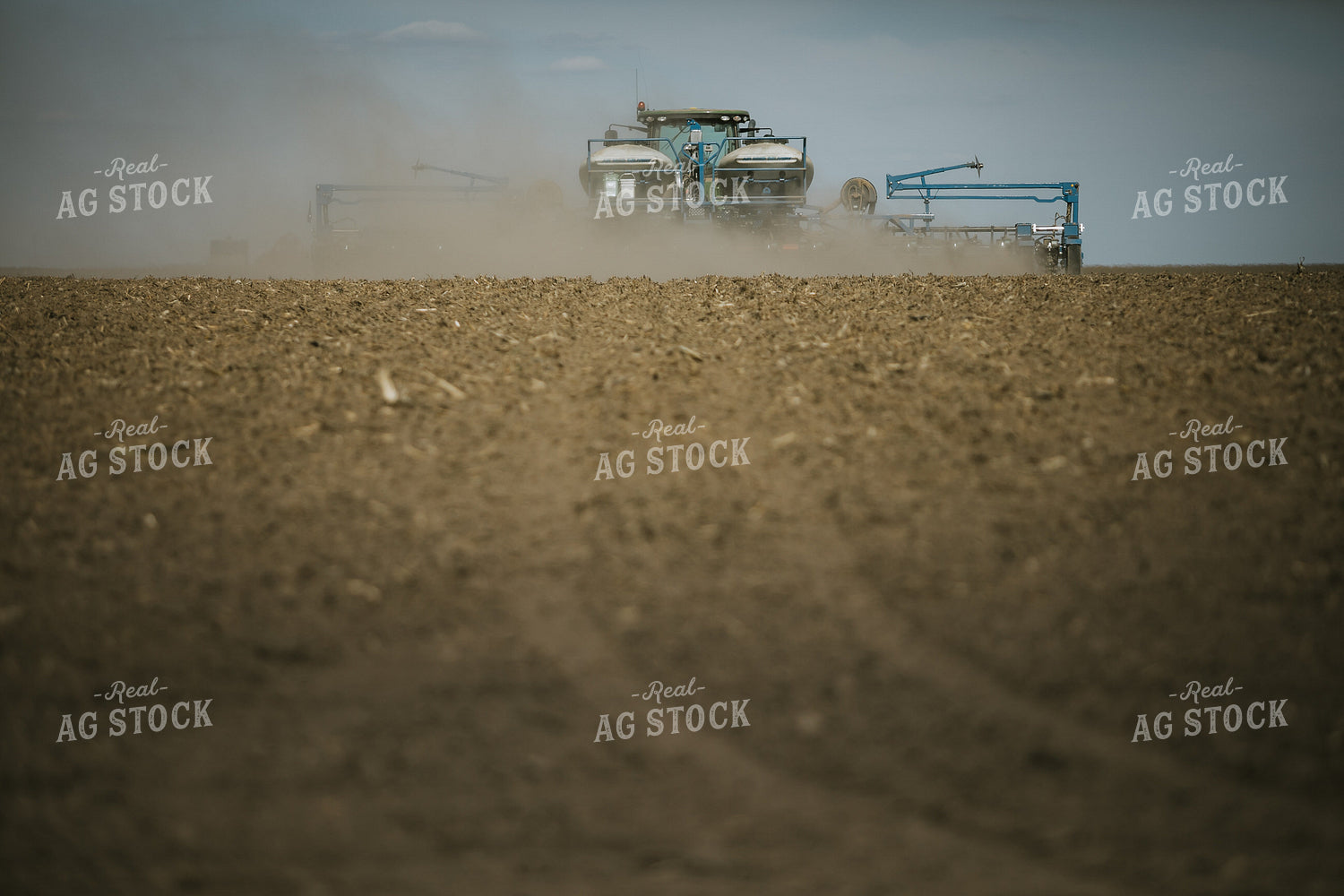 Planting on a Sunny Day 4149