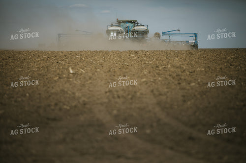 Planting on a Sunny Day 4149