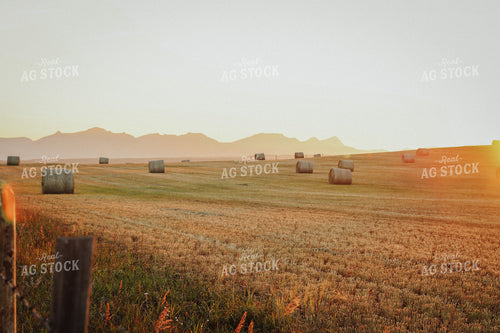 Hay Bales in Foothills 83090
