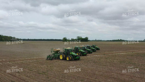 Planting 79484