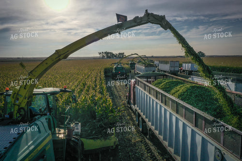 Silage Harvest Drone 56225
