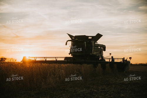 Soybean Harvest at Dusk 6994