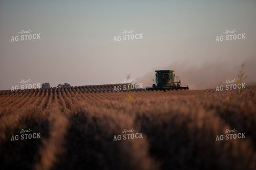 Harvest 1815