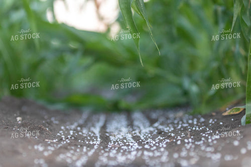 Dry Fertilizer on Soil 72075