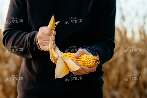 Farmer Checking Corn in Field 68346
