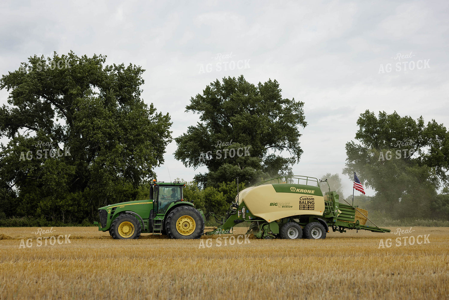 Baling Wheat Straw 296035