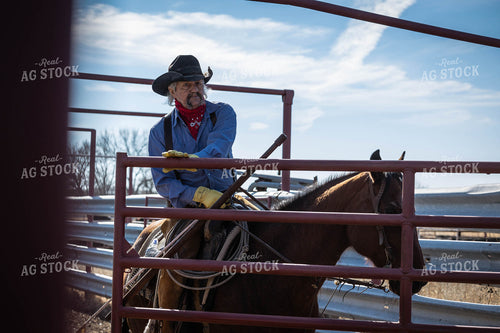 Rancher Working Cattle 219050