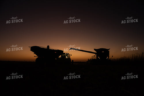 Corn Harvest at Dusk 76309