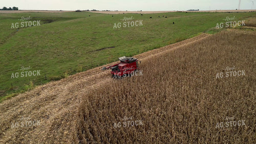 Aerial of Corn Harvest 268136