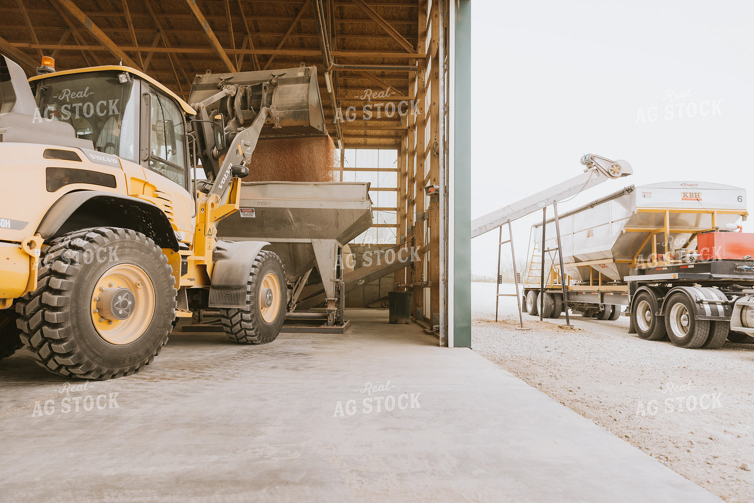 Tractor Dumps Dry Feed in Storage Shed 7527