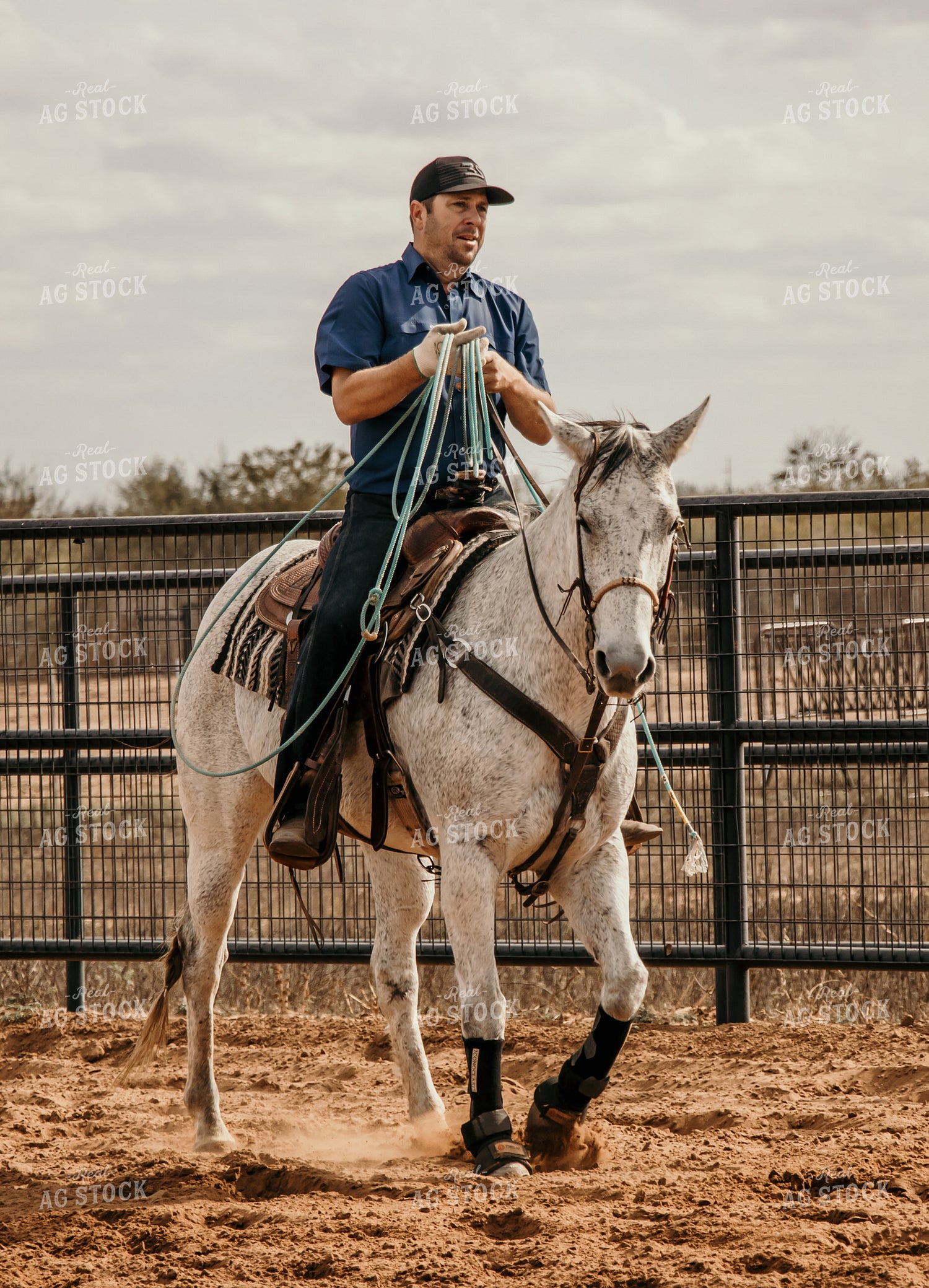 Rancher on Horse 98016