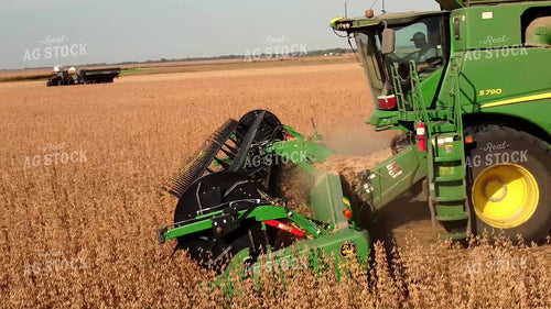 Soybean Harvest 287016