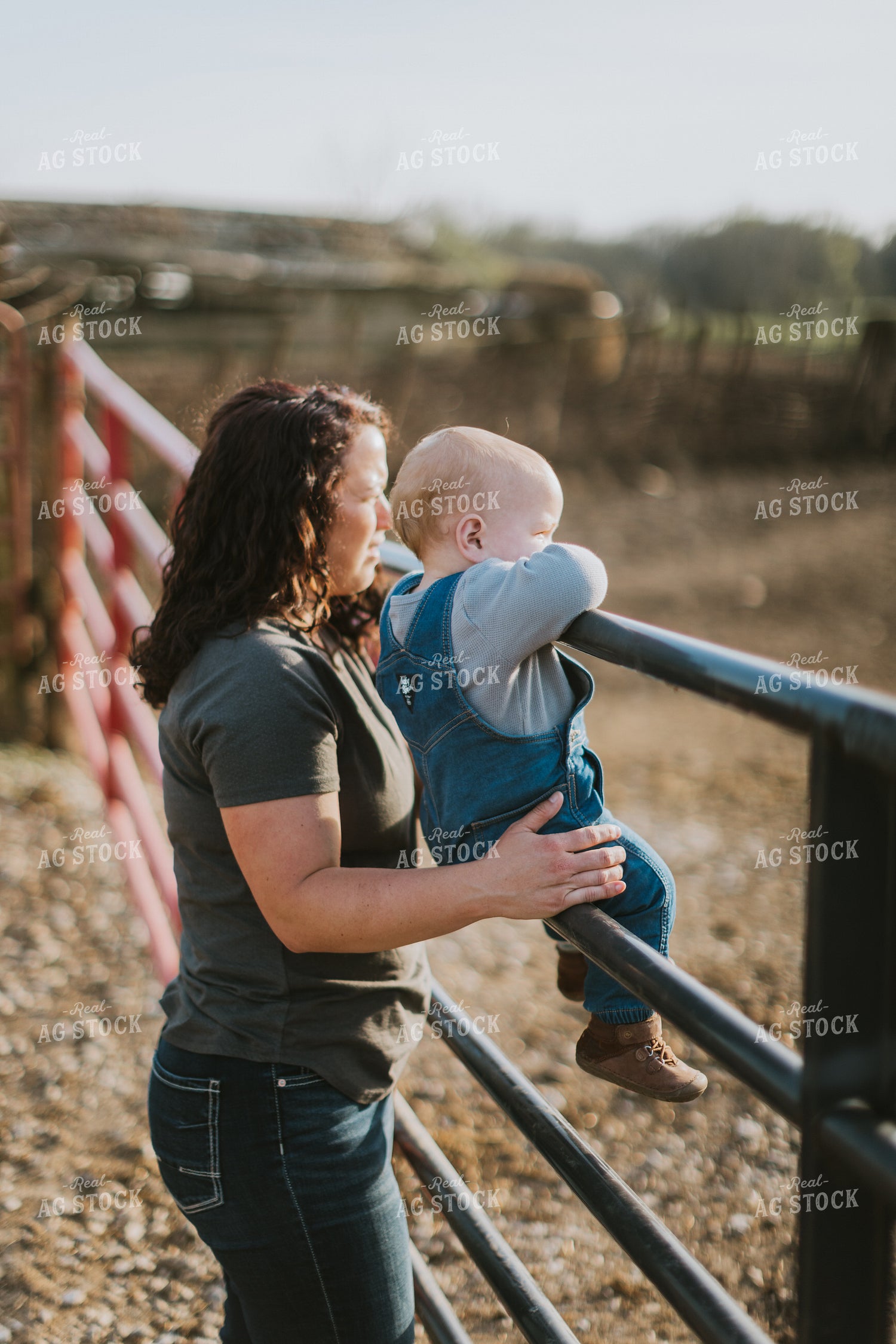 Farm Kid Watching Through Fence 7392