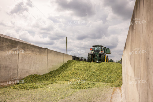 Storing Corn Silage 270620