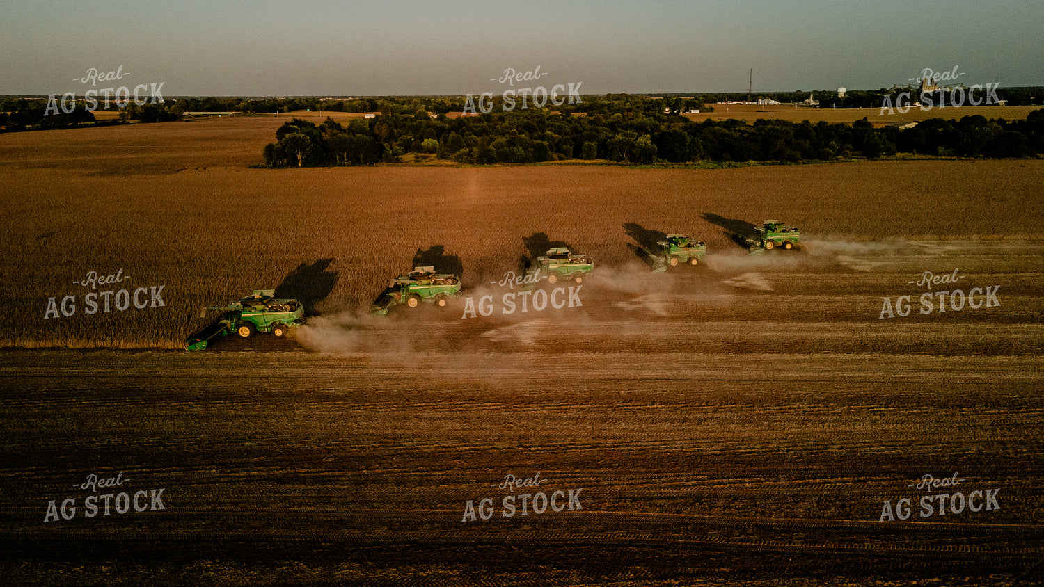 Soybean Harvest 9304