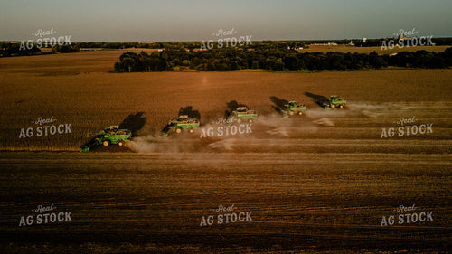 Soybean Harvest 9304