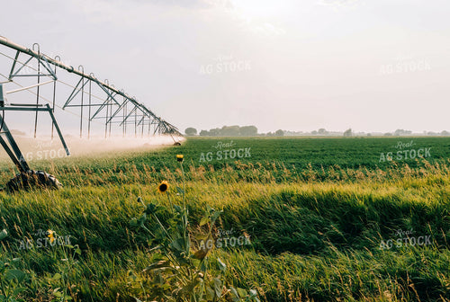 Irrigation Pivot Spraying Water 61002